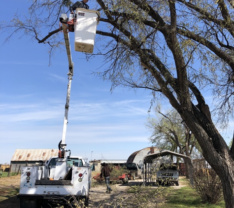 Specialty Tree Service ( Owner: George Slawson, Jr ) - Edmond, OK