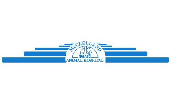 McClelland Small Animal Hospital - Buffalo, NY