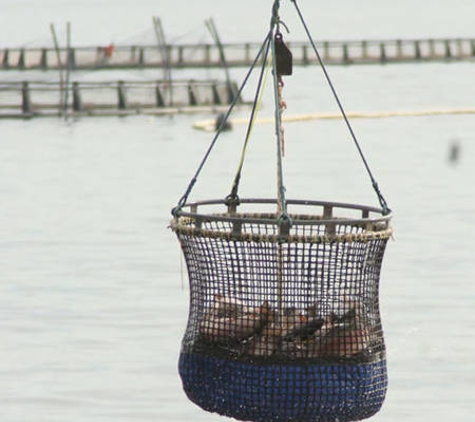 World Heritage Cruises - Strahan, TAS