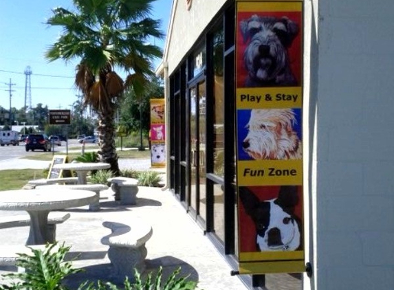 Zorro's FUNzone for Dogs - Mandeville, LA