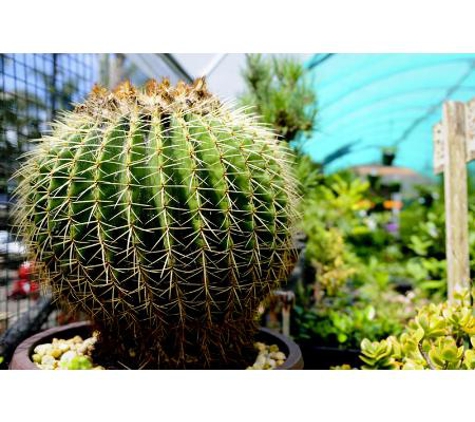Impact Plants Nursery - Empire Bay, NSW