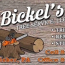 Bickel’s Tree Service LLC - Tree Service
