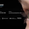 Progressive Ophthalmology gallery