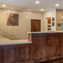 Comfort Suites Manheim-Lancaster - Motels