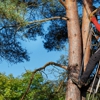 Long Tree & Landscape Service, Inc. gallery