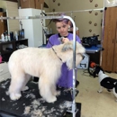 Lil Bit O'Grooming Pet Salon - Pet Grooming