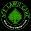 Ace Lawn Care Solutions gallery