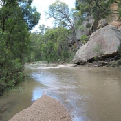 Gallery Image Number 1