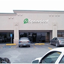 Springleaf Financial Services - Financing Services