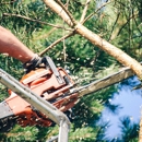 United Tree Services - Tree Service