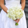 North Raleigh Florist gallery