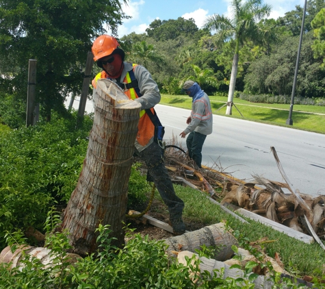 Superior Landscaping & Lawn Service - Miami, FL. Trained tree trimmers