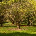 Rutgers Gardens