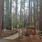 Redwood Grove Nature Preserve