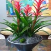 Plant Design Inc gallery