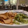 Tacombi gallery