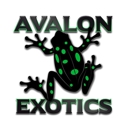 Avalon Exotics