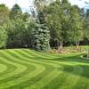Olive Branch Lawn Care gallery