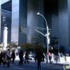 New York gallery