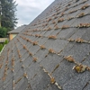Liberty Exterior Cleaning gallery
