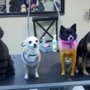 100 Percent Fantasy Crew - Pet Grooming