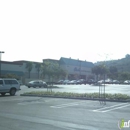 Dick's Sporting Goods - Sporting Goods