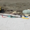 Moonstone Beach Park gallery