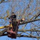 Sunburst Tree Experts Inc. - Tree Service
