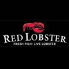 Red Lobster gallery