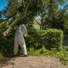 Mason Exterminating gallery