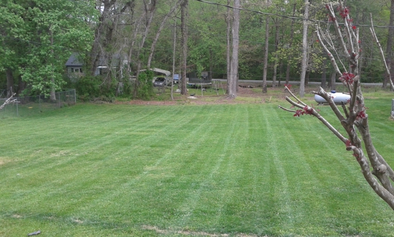 Hassle Free Lawn Care - Hudson, NC
