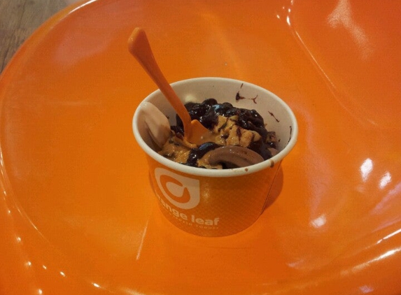 Orange Leaf Frozen Yogurt - Springfield, MO