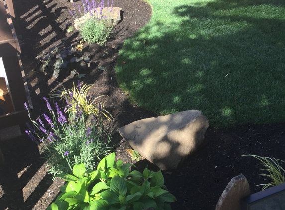 Amaya's Landscaping LLC - Seattle, WA