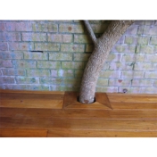 Gallery Image Number 1