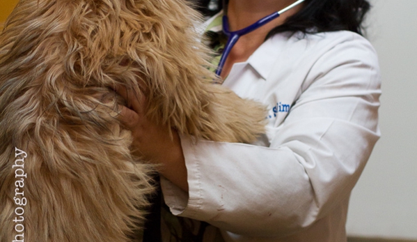 Mississippi Animal Hospital - Aurora, CO