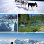 4NomadsTravel  Dream