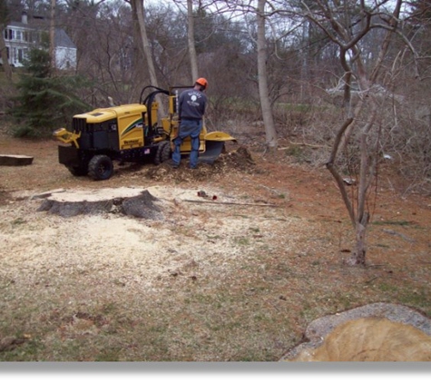 Allscape Tree & Turf Services, Inc. - Plymouth, MA