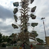 Montana Expo Park gallery
