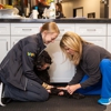 The Pet Doctor - O'Fallon gallery