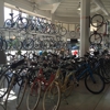Downtown LA Bicycles gallery