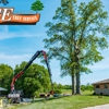 G E Tree Service Inc gallery