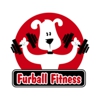 Furball Fitness Dog Walking & Pet Care gallery