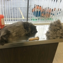 Hi Rock Animal Hospital - Veterinarians