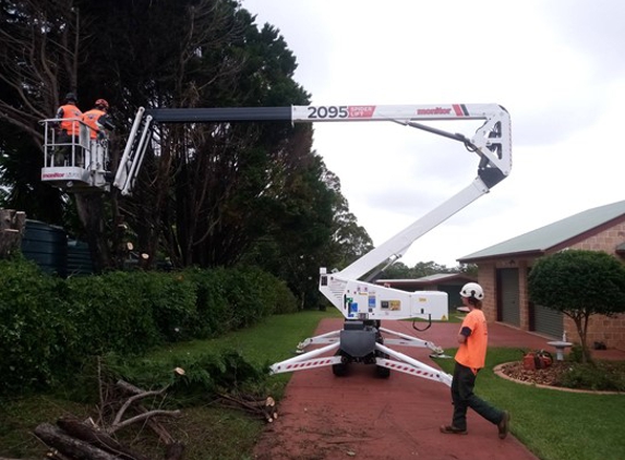 True Blue Tree and Stump Removal - Glass House Mountains, QLD. Tree Lopping Sunshine Coast