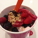 Fruity Swirls Frozen Yogurt - Yogurt