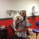 Best Lil Grooming Shop In Texas - Dog & Cat Grooming & Supplies