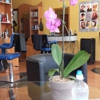 Luzs Beauty Supplies & Salon gallery