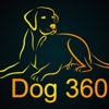 Dog 360 gallery
