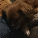 Belton Animal Clinic & Exotic Care Center - Veterinarians