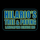 Hilario's Tree & Landscaping Inc